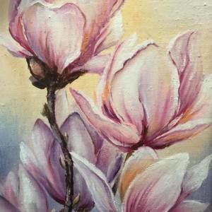 Meet your Posher, Anne